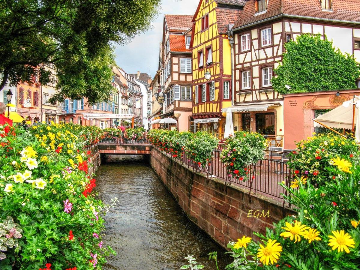 Magnifique Gite Le Clos Des Pierres Route Des Vins D'Alsace Beblenheim Εξωτερικό φωτογραφία